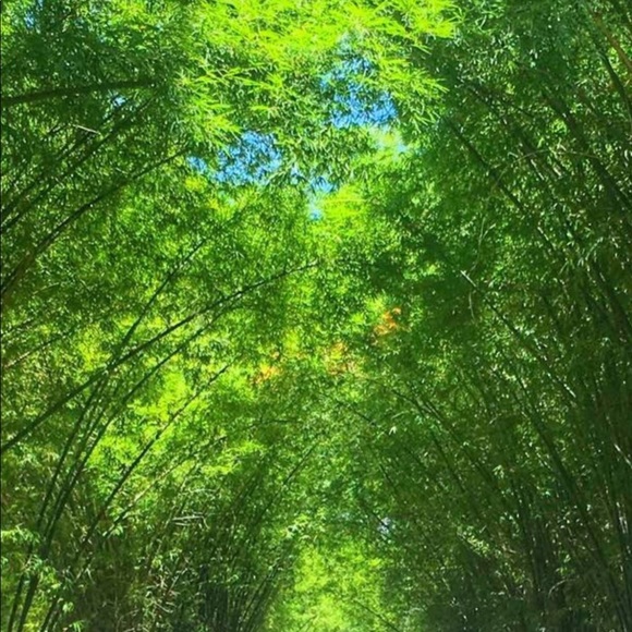 Meet your Posher, Sim - Picture 1 of 1